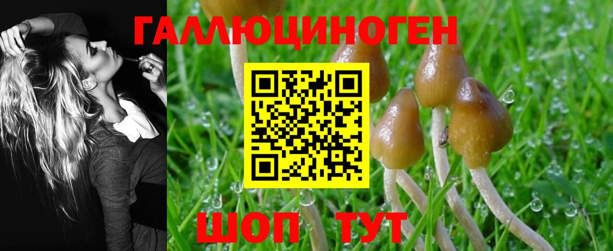 Гуково  Галлюциногенные грибы MAGIC MUSHROOMS  Галлюциногенные грибы ЛСД  Вход с VPN 