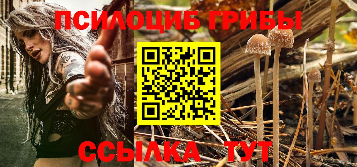 Псилоцибиновые грибы прущие грибы Гуково